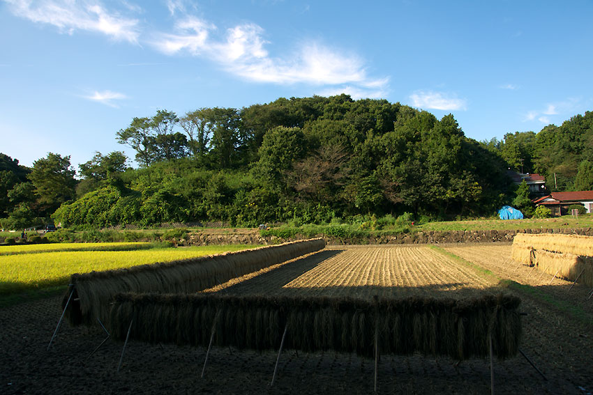 初秋の寺家ふるさと村　No2_e0153076_1835740.jpg