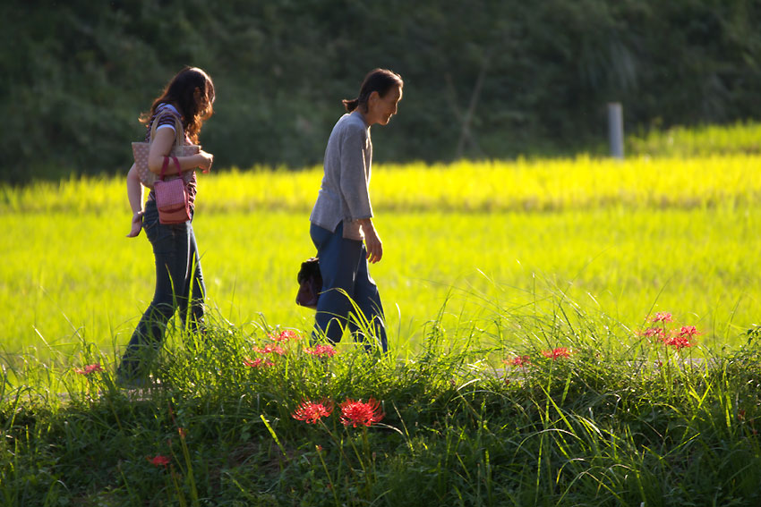 初秋の寺家ふるさと村　No2_e0153076_1837745.jpg