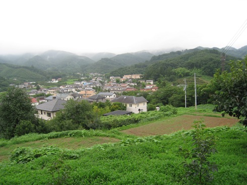 a0087378_594240.jpg