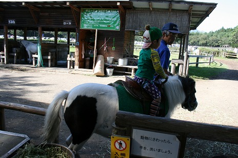 岩手旅行　小岩井農場　その2　ポニーに乗った幼児_d0081481_1974672.jpg