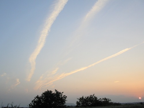 桜づつみから見上げた空です_f0099781_215405.jpg