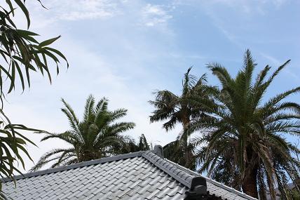屋根の風景_c0204385_160594.jpg