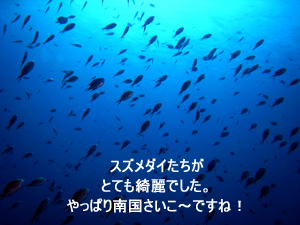 D.O.ですか! これがナイスなラチャヤイ島!_f0144385_771358.jpg