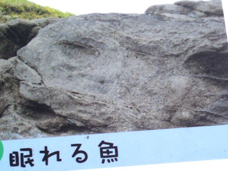 e0137390_21481194.jpg