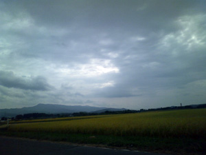 f0074992_231278.jpg