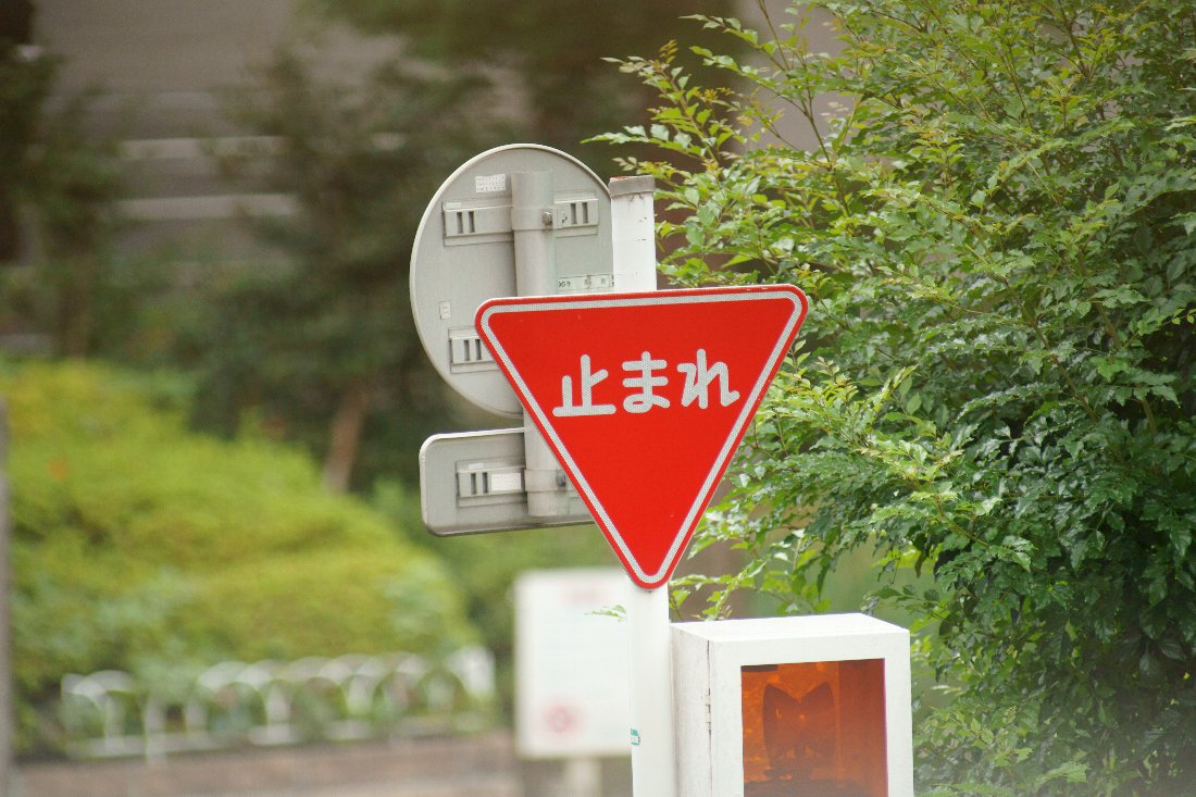 c0124795_0144172.jpg