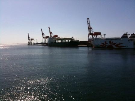 f0091495_8434477.jpg