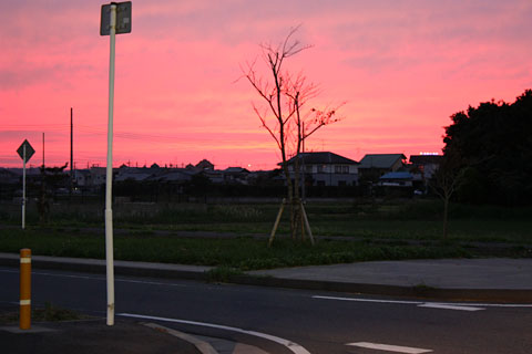 夕焼け空　・・・東金の秋_b0114798_905458.jpg