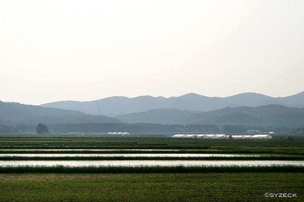 津軽の田園風景_b0051600_2105893.jpg