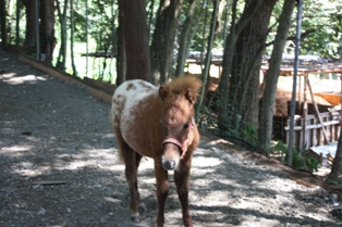 c0123400_20121750.jpg