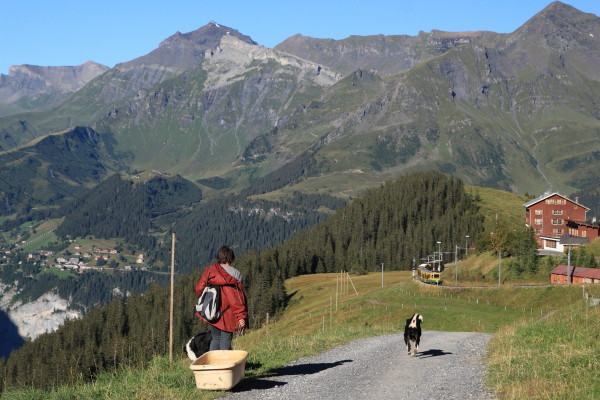 Kleine Scheidegg_2　クライネ・シャイデック　早朝散歩　スイスその９_c0183002_11472566.jpg