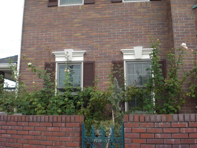 e0163202_1982913.jpg