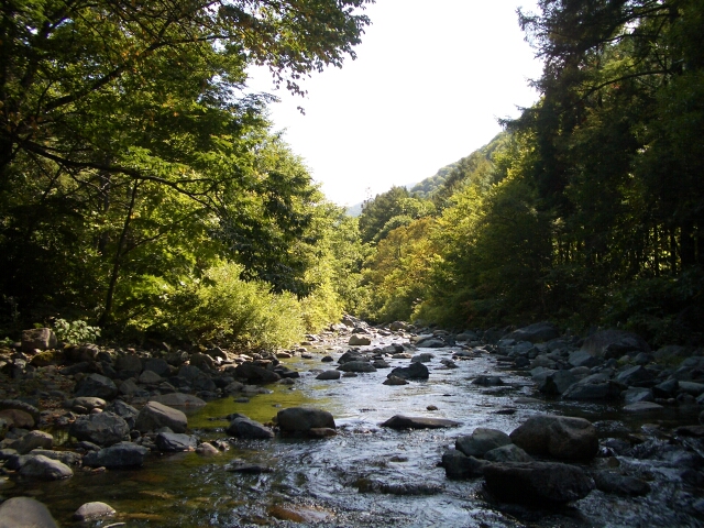 b0172805_35357.jpg