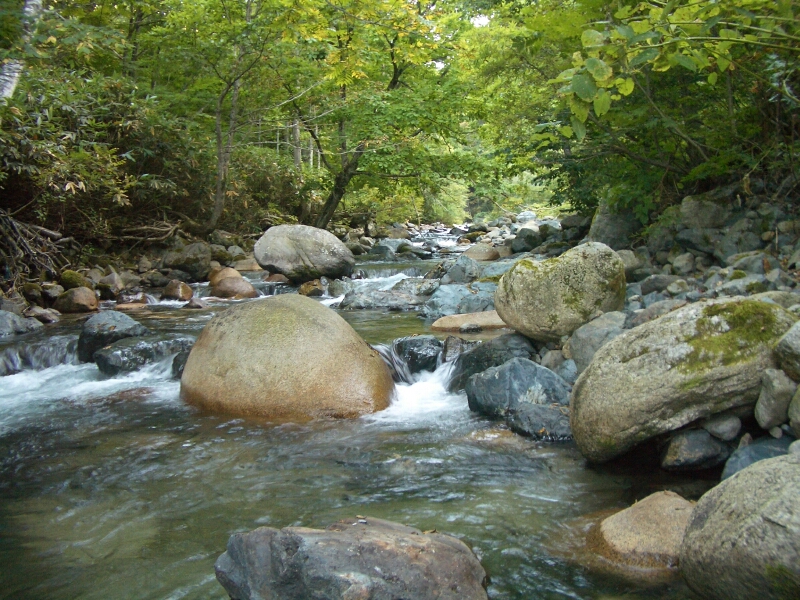 b0172805_38332.jpg