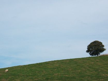 e0117805_21311122.jpg