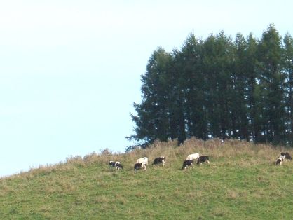 e0117805_2133215.jpg