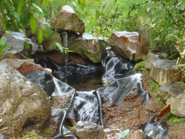 e0175905_11201085.jpg