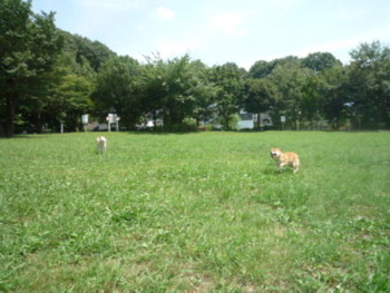 e0131506_23151788.jpg