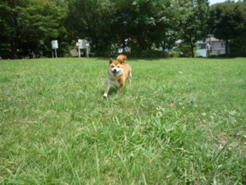 e0131506_23154281.jpg