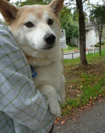 e0131506_2321072.jpg
