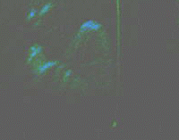 e0103408_12391675.gif