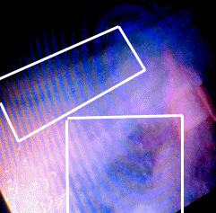 e0103408_1241225.gif