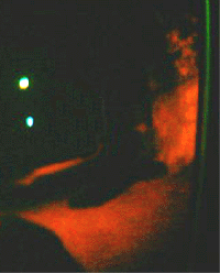 e0103408_12441337.gif