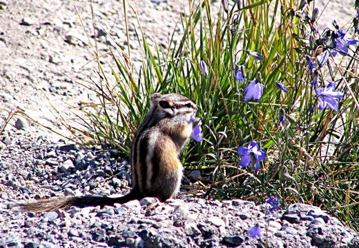 b0051109_10129.jpg