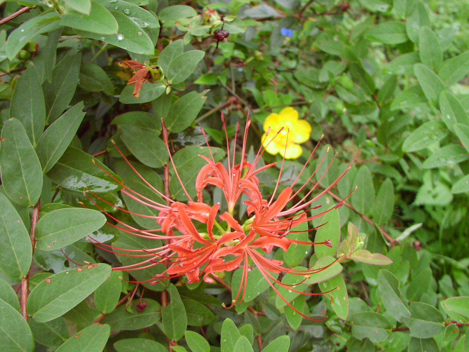 f0164410_11232160.jpg