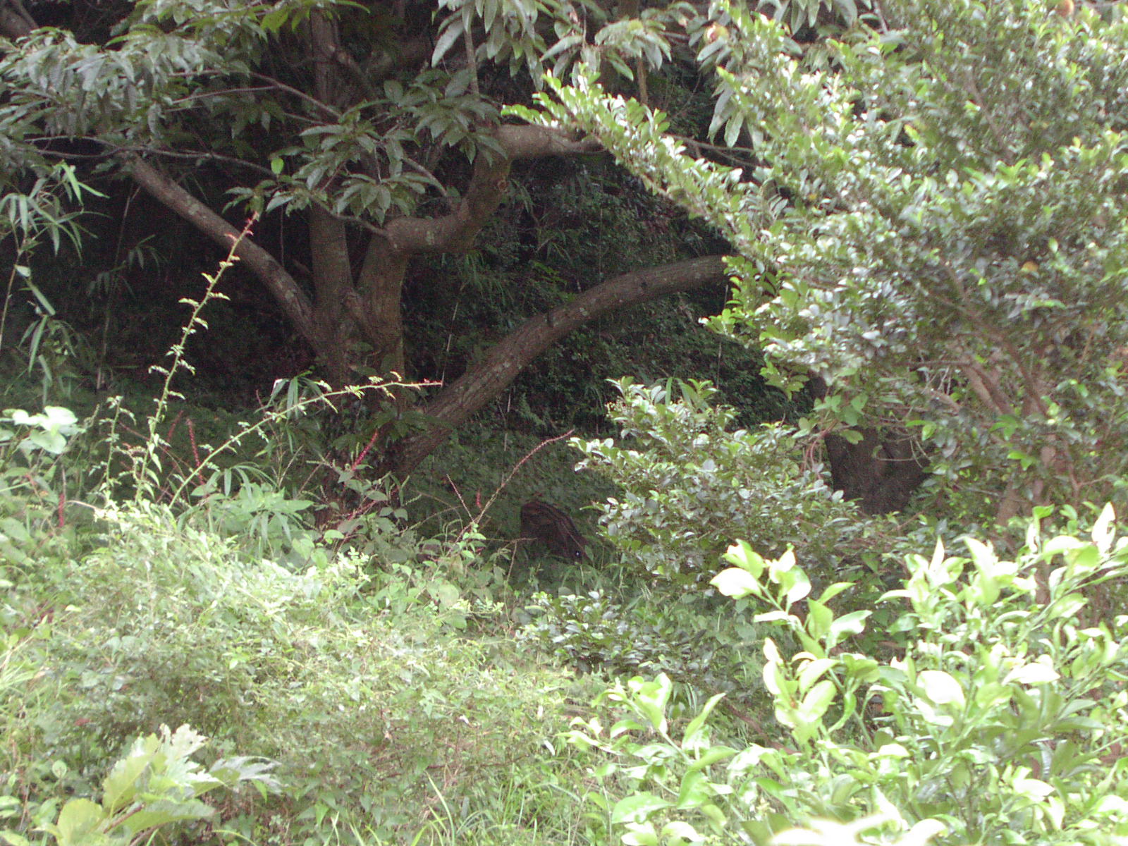 f0164410_11244046.jpg