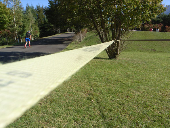 f0201310_19285465.jpg