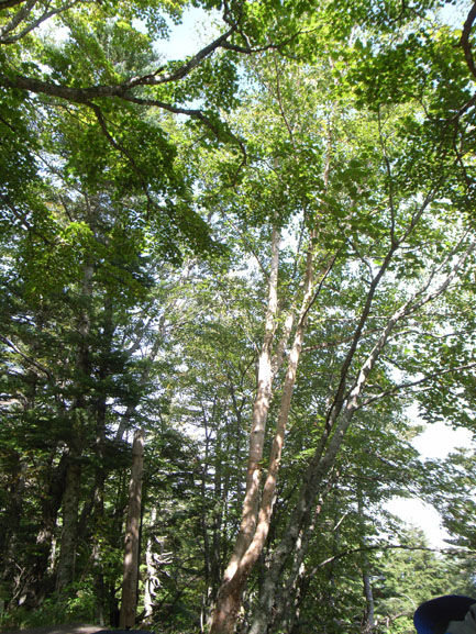 f0201310_19372557.jpg