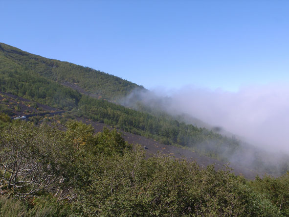 f0201310_1938437.jpg