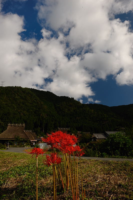 美山･秋の萱葺きの里　其の一_f0032011_17253468.jpg