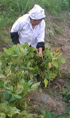 c0175712_21412072.jpg