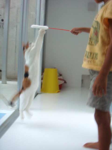 e0144012_1226431.jpg