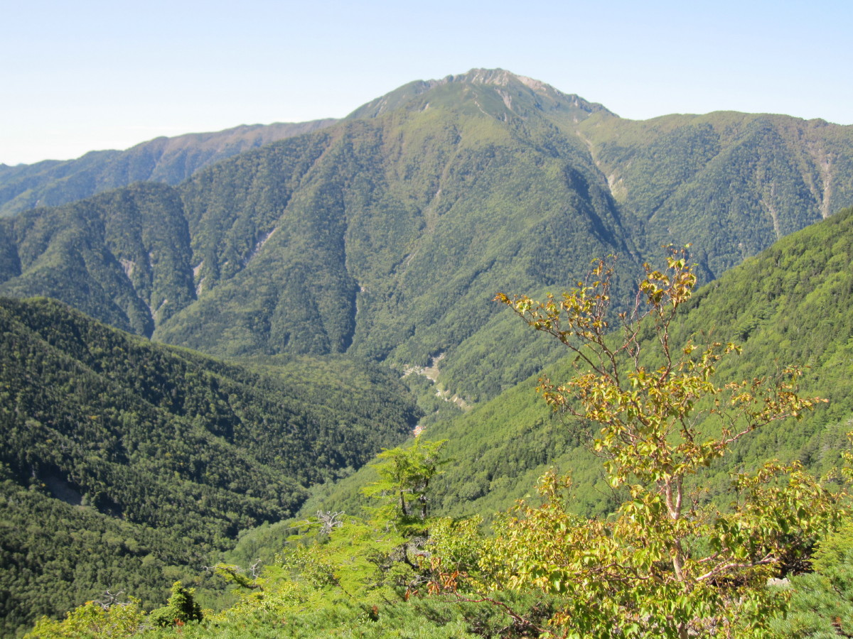 d0103314_045362.jpg