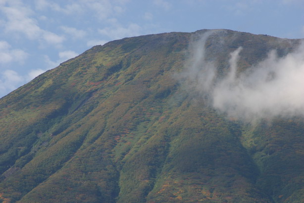 d0143719_9553620.jpg