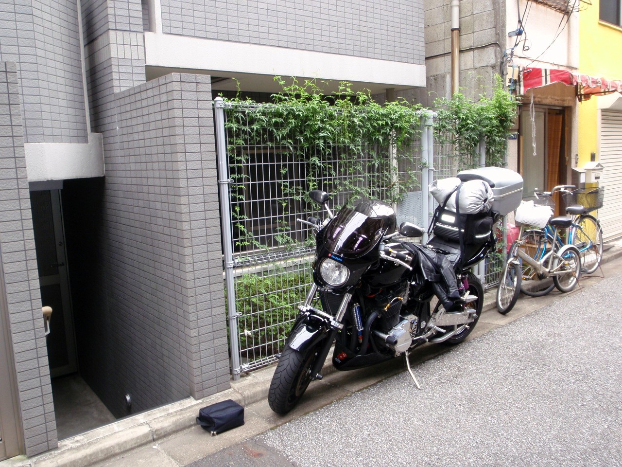 a0001020_1953687.jpg