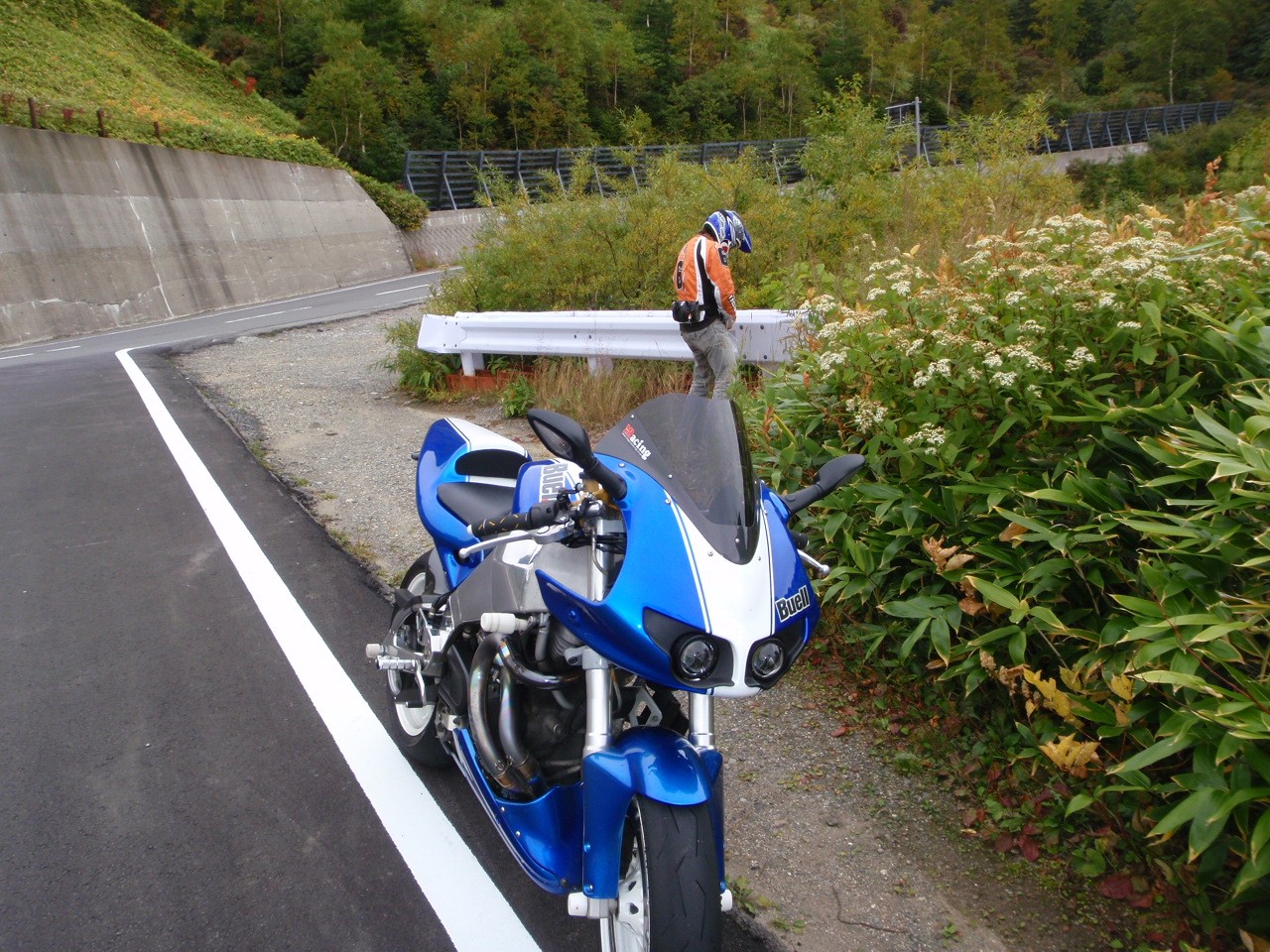 a0001020_2115129.jpg