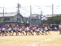 c0133422_2338862.jpg