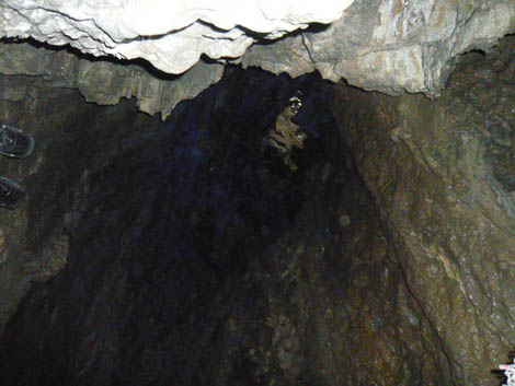 f0156726_19363414.jpg