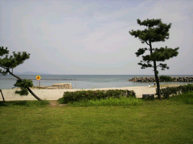 c0131727_1645991.jpg