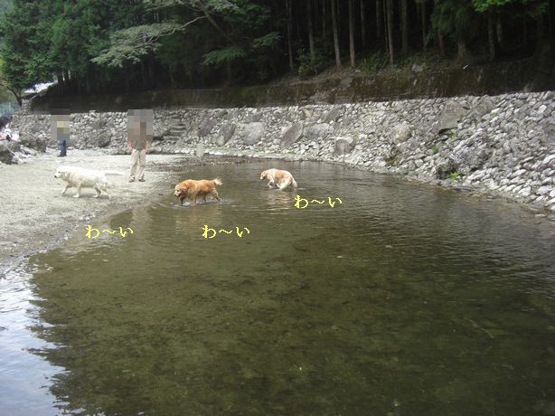 e0142430_2149366.jpg