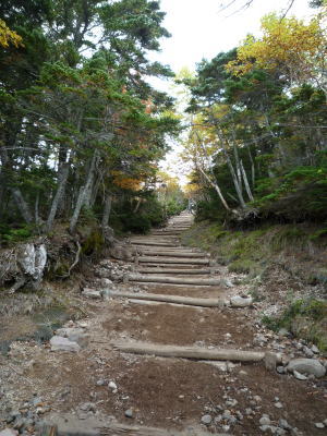 『男体山』 に行って来ました♪_f0185530_17491528.jpg