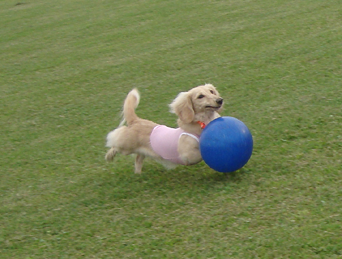 c0117831_21223889.jpg