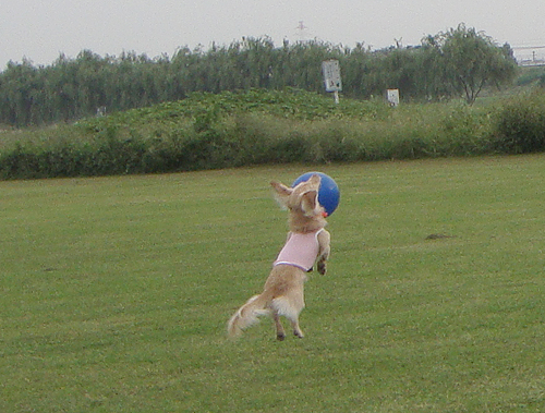 c0117831_21225290.jpg