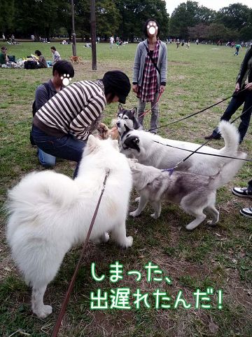 21日のおっきな公園_c0062832_1633148.jpg