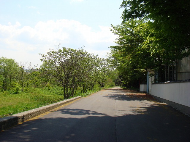 a0046339_1314666.jpg
