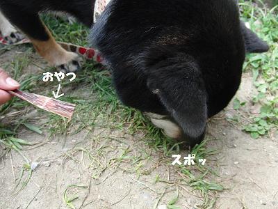 f0186040_22212758.jpg